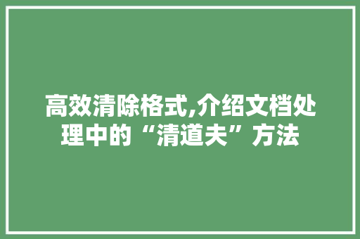 高效清除格式,介绍文档处理中的“清道夫”方法