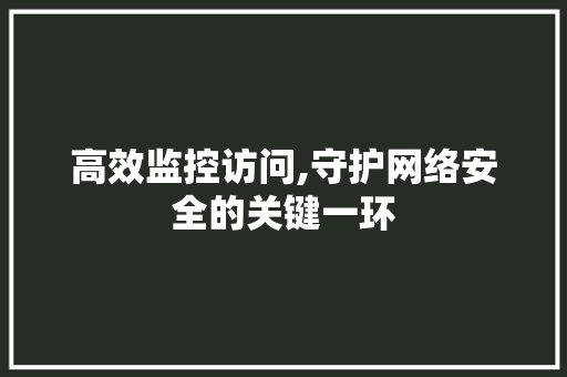 高效监控访问,守护网络安全的关键一环