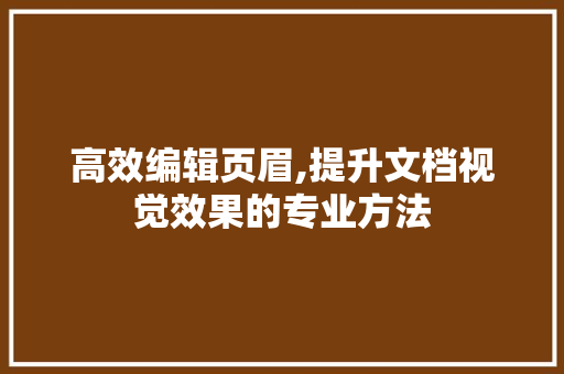 高效编辑页眉,提升文档视觉效果的专业方法