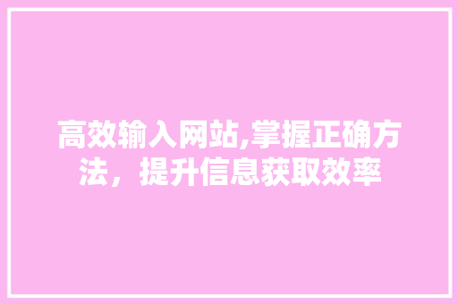 高效输入网站,掌握正确方法，提升信息获取效率 电脑配置