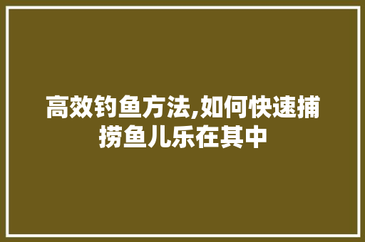 高效钓鱼方法,如何快速捕捞鱼儿乐在其中 电脑故障维修
