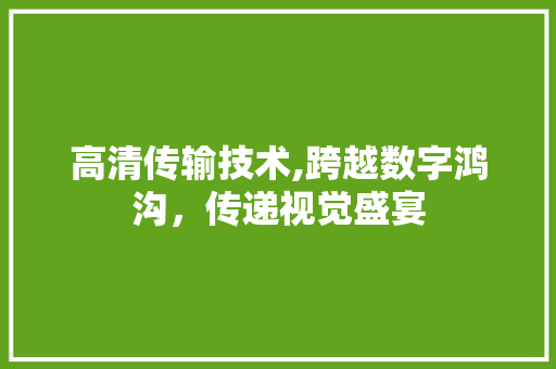 高清传输技术,跨越数字鸿沟，传递视觉盛宴