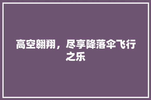 高空翱翔，尽享降落伞飞行之乐 电脑基础