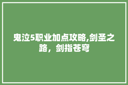 鬼泣5职业加点攻略,剑圣之路，剑指苍穹