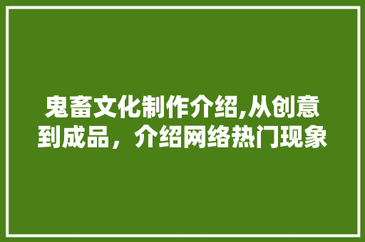 鬼畜文化制作介绍,从创意到成品，介绍网络热门现象背后的制作奥秘