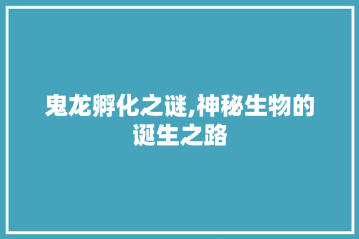 鬼龙孵化之谜,神秘生物的诞生之路