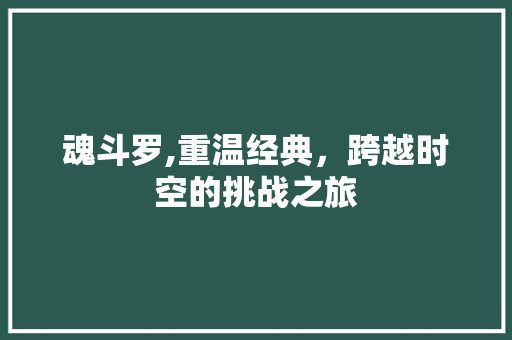 魂斗罗,重温经典，跨越时空的挑战之旅 电脑基础