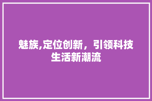 魅族,定位创新，引领科技生活新潮流 电脑故障维修
