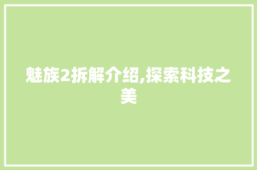 魅族2拆解介绍,探索科技之美
