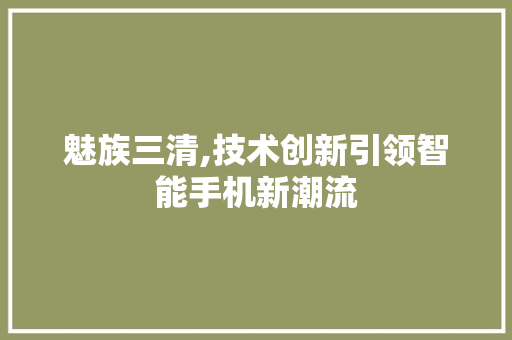 魅族三清,技术创新引领智能手机新潮流 魅族三清,技术创新引领智能手机新潮流