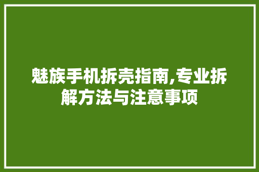 魅族手机拆壳指南,专业拆解方法与注意事项