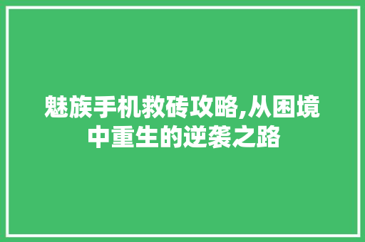 魅族手机救砖攻略,从困境中重生的逆袭之路