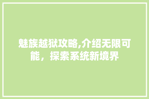 魅族越狱攻略,介绍无限可能，探索系统新境界