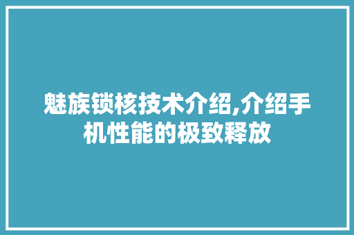 魅族锁核技术介绍,介绍手机性能的极致释放