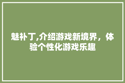 魅补丁,介绍游戏新境界，体验个性化游戏乐趣 编程语言