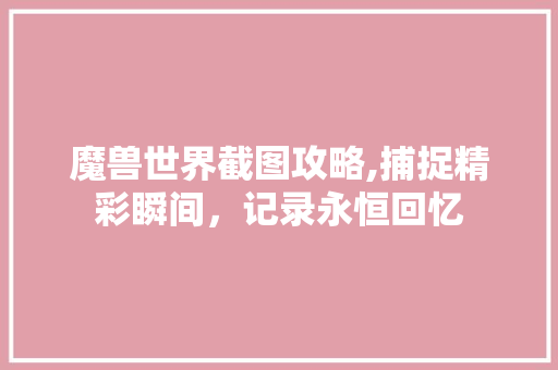魔兽世界截图攻略,捕捉精彩瞬间，记录永恒回忆 编程语言