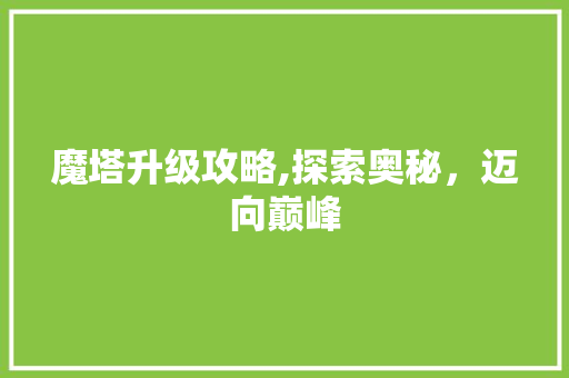 魔塔升级攻略,探索奥秘，迈向巅峰