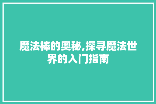 魔法棒的奥秘,探寻魔法世界的入门指南 编程语言 魔法棒的奥秘,探寻魔法世界的入门指南 编程语言