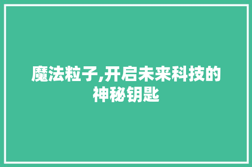 魔法粒子,开启未来科技的神秘钥匙 电脑配置 魔法粒子,开启未来科技的神秘钥匙 电脑配置