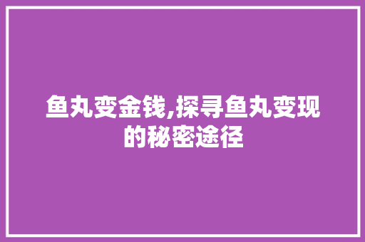 鱼丸变金钱,探寻鱼丸变现的秘密途径 鱼丸变金钱,探寻鱼丸变现的秘密途径