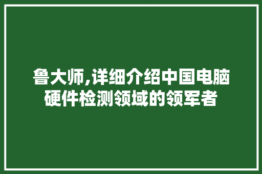 鲁大师,详细介绍中国电脑硬件检测领域的领军者
