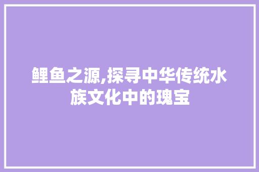 鲤鱼之源,探寻中华传统水族文化中的瑰宝