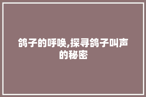 鸽子的呼唤,探寻鸽子叫声的秘密