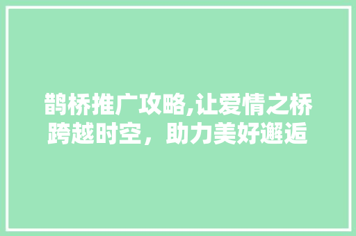 鹊桥推广攻略,让爱情之桥跨越时空，助力美好邂逅 电脑故障维修