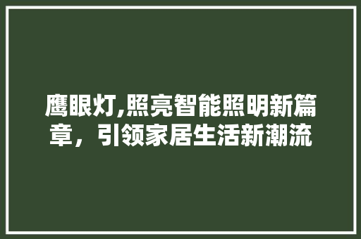 鹰眼灯,照亮智能照明新篇章,引领家居生活新潮流 编程语言 鹰眼灯,照亮智能照明新篇章,引领家居生活新潮流 编程语言