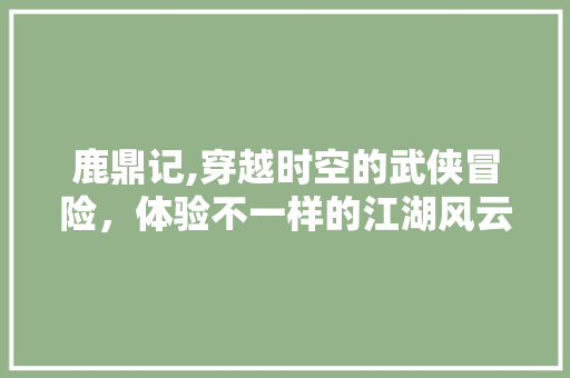 鹿鼎记,穿越时空的武侠冒险，体验不一样的江湖风云 电脑配置