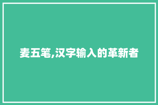 麦五笔,汉字输入的革新者 电脑基础
