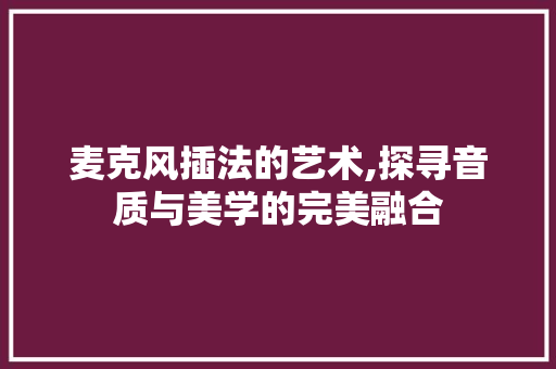 麦克风插法的艺术,探寻音质与美学的完美融合 编程语言