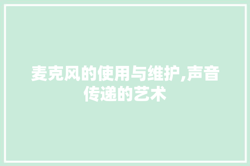 麦克风的使用与维护,声音传递的艺术 电脑配置
