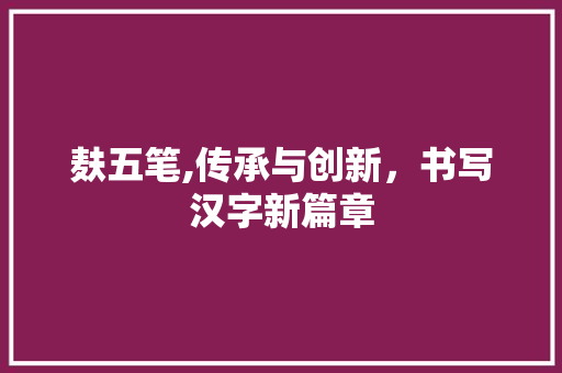 麸五笔,传承与创新，书写汉字新篇章 操作系统