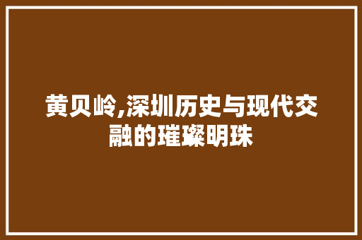黄贝岭,深圳历史与现代交融的璀璨明珠 网络技术