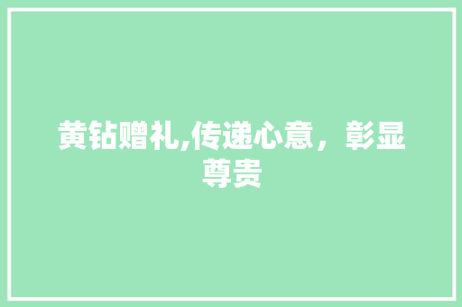 黄钻赠礼,传递心意，彰显尊贵 电脑配置