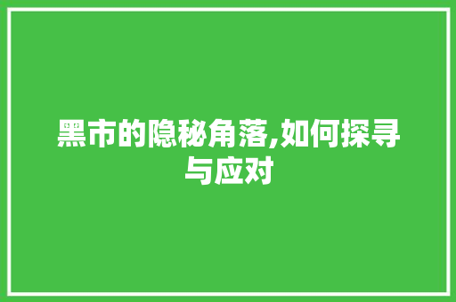 黑市的隐秘角落,如何探寻与应对