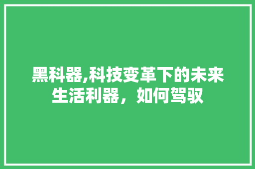黑科器,科技变革下的未来生活利器,如何驾驭 网络技术 黑科器,科技变革下的未来生活利器,如何驾驭 网络技术