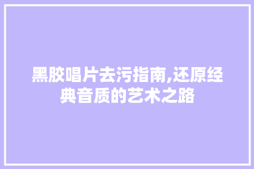 黑胶唱片去污指南,还原经典音质的艺术之路 编程语言
