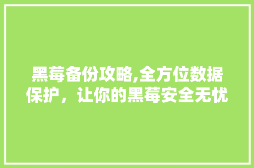 黑莓备份攻略,全方位数据保护，让你的黑莓安全无忧 电脑配置