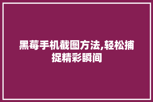 黑莓手机截图方法,轻松捕捉精彩瞬间
