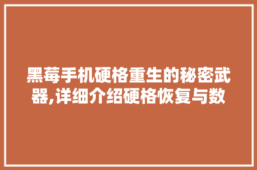 黑莓手机硬格重生的秘密武器,详细介绍硬格恢复与数据保护