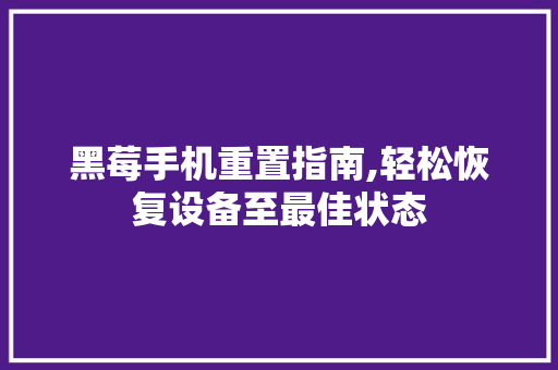 黑莓手机重置指南,轻松恢复设备至最佳状态 黑莓手机重置指南,轻松恢复设备至最佳状态