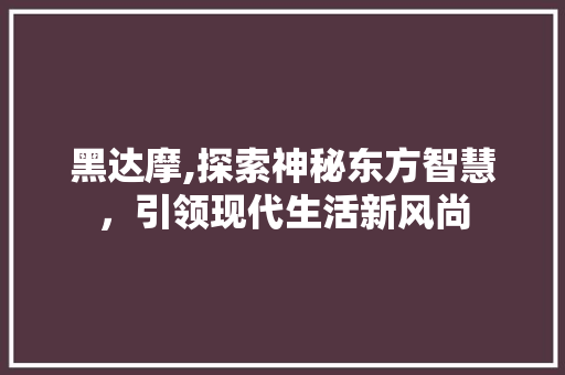 黑达摩,探索神秘东方智慧,引领现代生活新风尚 黑达摩,探索神秘东方智慧,引领现代生活新风尚