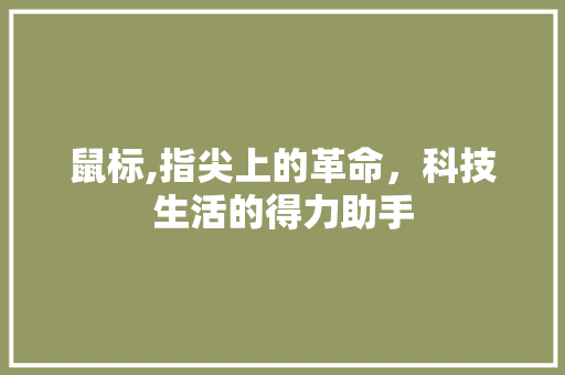 鼠标,指尖上的革命，科技生活的得力助手 操作系统