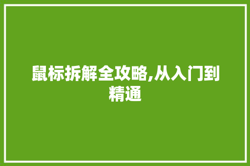 鼠标拆解全攻略,从入门到精通 电脑基础