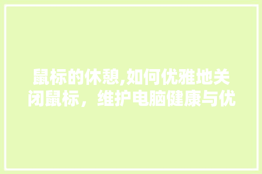 鼠标的休憩,如何优雅地关闭鼠标，维护电脑健康与优雅 电脑基础