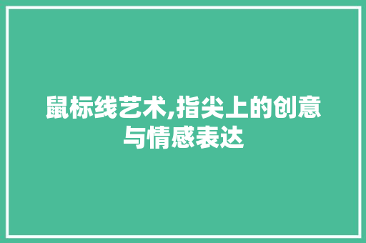 鼠标线艺术,指尖上的创意与情感表达 电脑配置