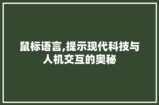 鼠标语言,提示现代科技与人机交互的奥秘