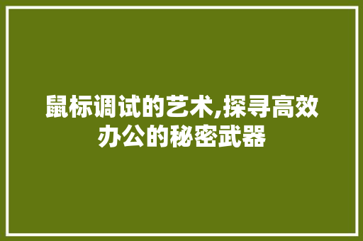 鼠标调试的艺术,探寻高效办公的秘密武器
